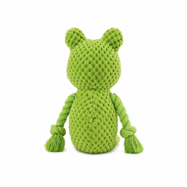 Freddy the Frog