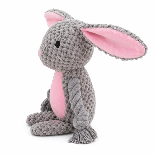Bunny the Rabbit