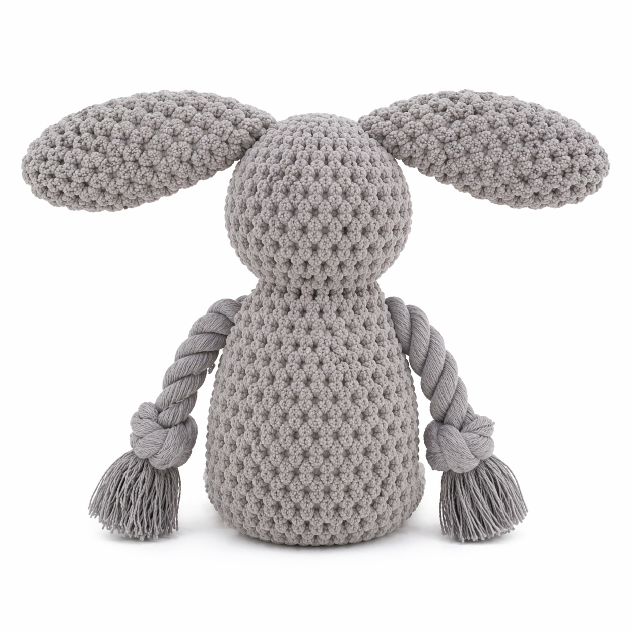 Bunny the Rabbit