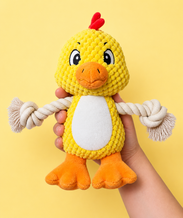 Poulette The Chicken