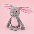 Bunny the Rabbit