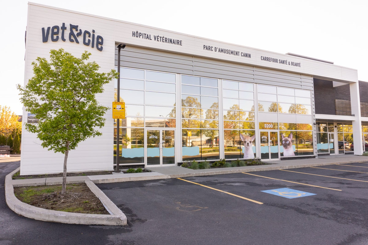 3200 Boul. de Rome Suite 8, Brossard, QC