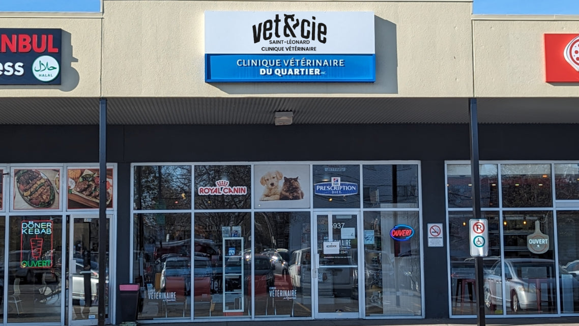 5937 Rue Bélanger Est, Saint-Léonard, QC